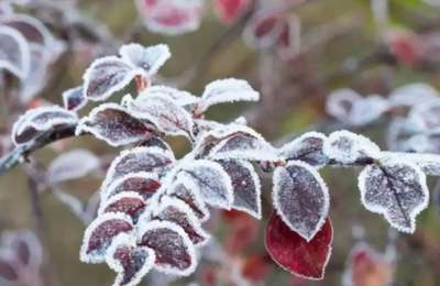 22 қазанға арналға ауа райы болжамы