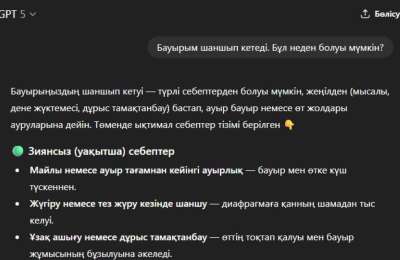 Шымдық азамат ChatGPT-ді тыңдаймын деп,  ауруын асқындырып алған