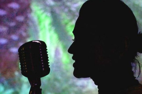 Қазақстандық әртістер 30 млрд теңге қаламақысын ала алмаған. Әділет министрлігі не дейді?