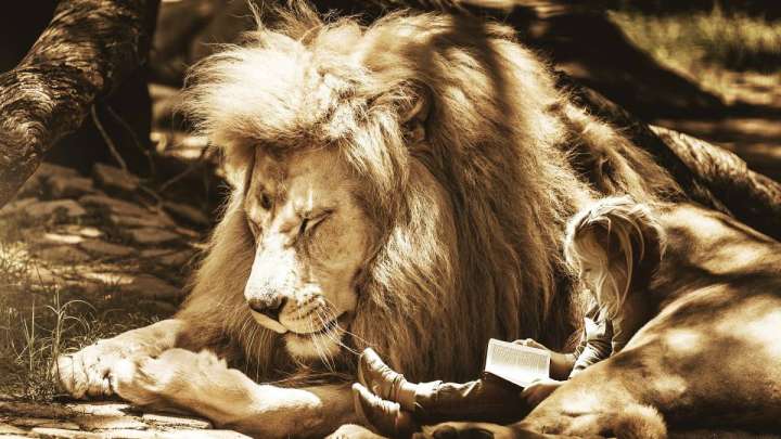 Жігіттер ертегі оқиды, қыз-келіншектер мен балалар мұқият тыңдайды!!!