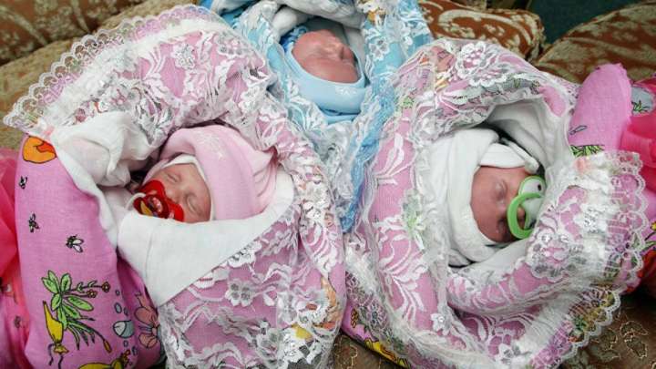 Бір айда үш облыста үшемдер дүниеге келді