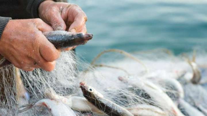 Браконьерлікке жұмыссыздық себеп пе?