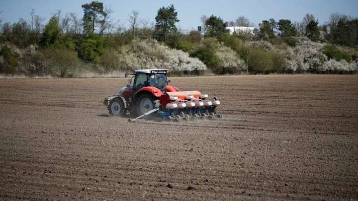 Егін егу карантинге қарамайды
