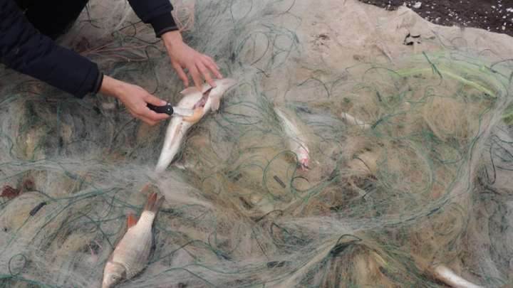 Карантин уақытында заңсыз балық аулаушылар көбейіп кеткен