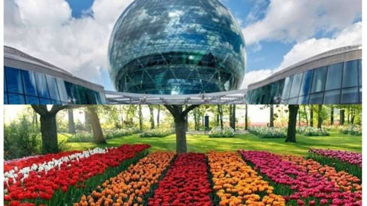 ЭКСПО тендері: гүл өсіруге 48 миллион