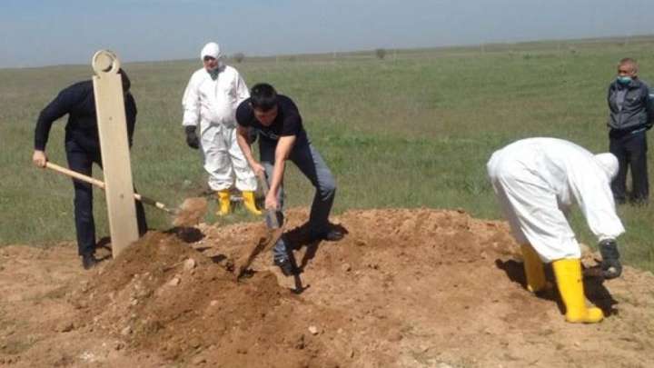 Вирус құрбандары: 22 адамның қазасын неге жасырды?