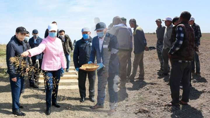 Әкім ханым дән еккенімен, диқандар су таппай жатыр