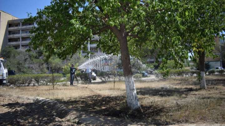 Ағаш суғара алмайтын маңғыстаулық әкімнің қызметі өсті