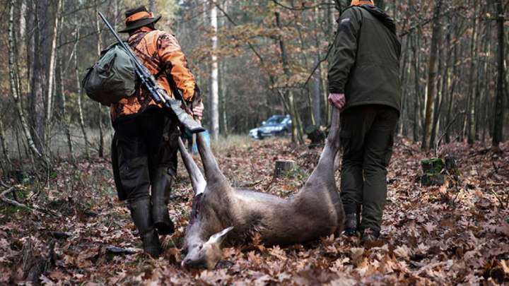 Биыл браконьерлер көп