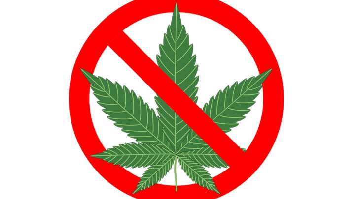 «Қарасора» операциясы қалай өтіп жатыр?