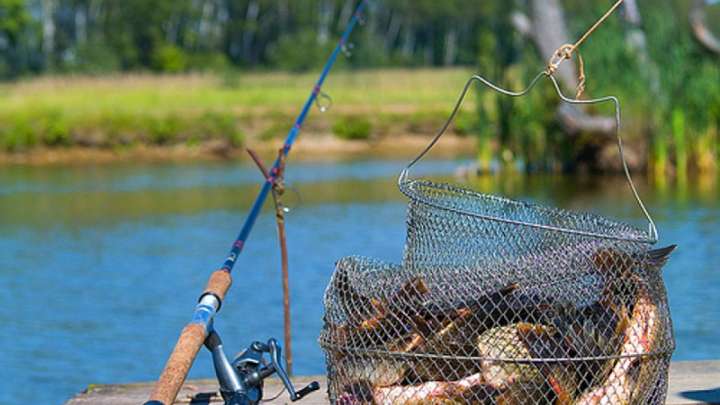 Балық аулаудың да тәртібі бар