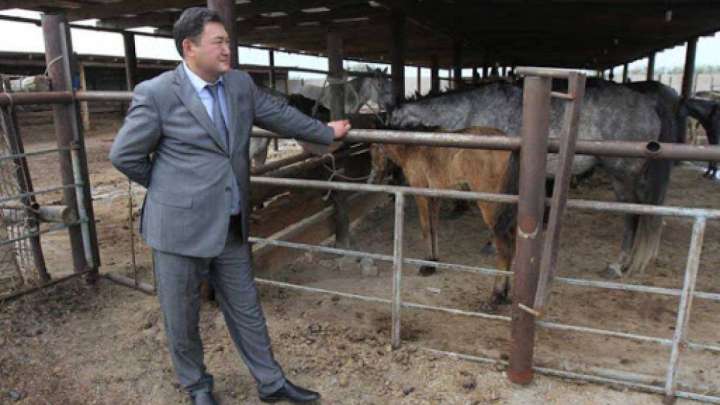 Жазадан құтылған Бақауов енді көше де сыпырмайды