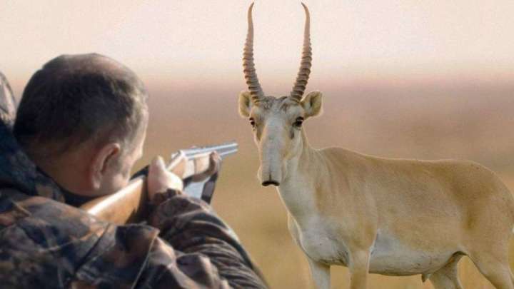 Жануарларды қорғайтын инспектордың өзі браконьер