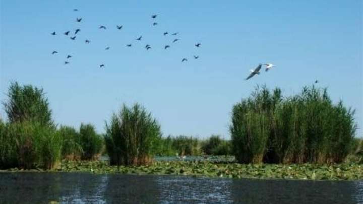 "Ауыл – ел бесігі" жобасының аясында 920 жоба іске асты