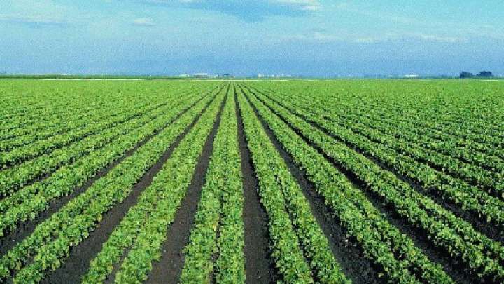 Былтыр ауыл шаруашылығы алға жылжыпты