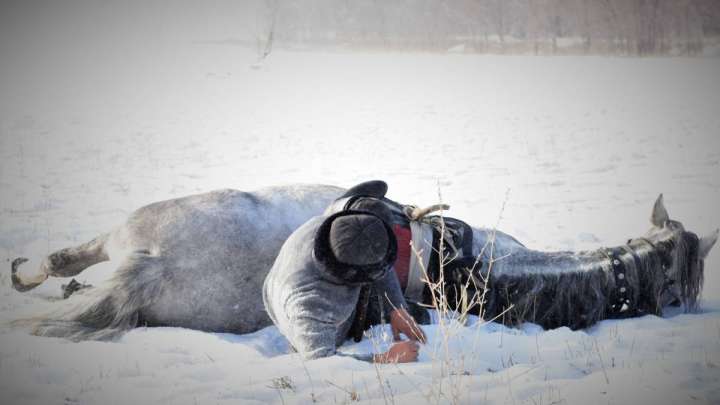 Қысқы көкпар көріністері (фоторепортаж)