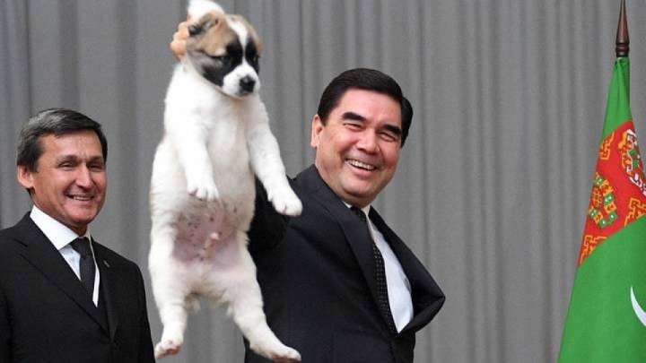 Иттердің сұлулық конкурсы. «Алабайдан шыққан жыл батыры»