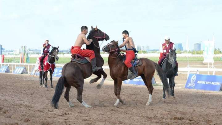 Ұлттық спорт түрлері мектептен басталуға тиіс