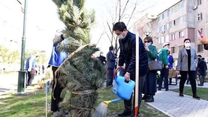 Шымкенттіктер «Наурыз тал» акциясын өткізді