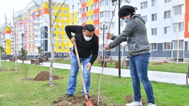 Науырыз мерекесі көшет егумен басталды