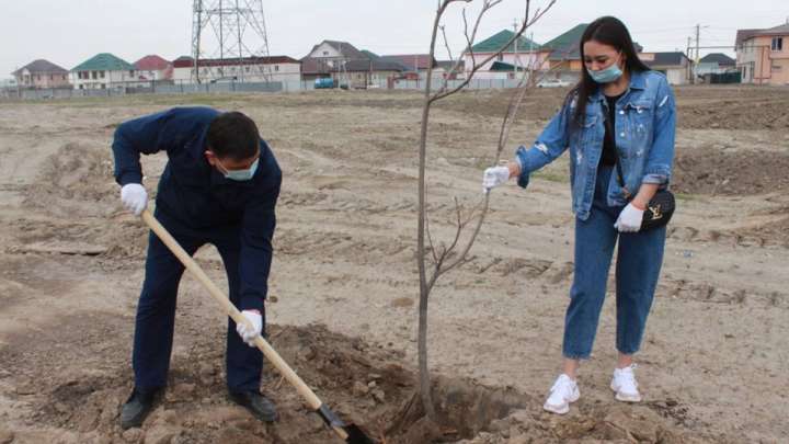 Көгалдандыру акциясы өтті