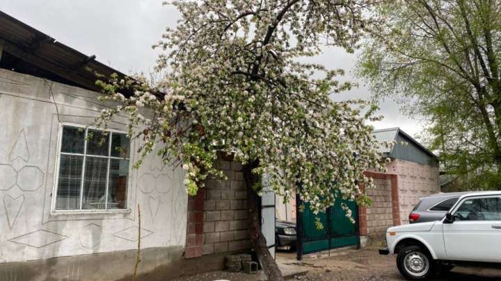 Қордай қақтығысы: Қираған үй жаңарды, ал көңілдегі жара жазылды ма?