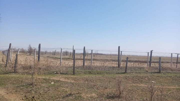 Ахметовтен үміт үзгендер Тоқаевқа хат жолдады