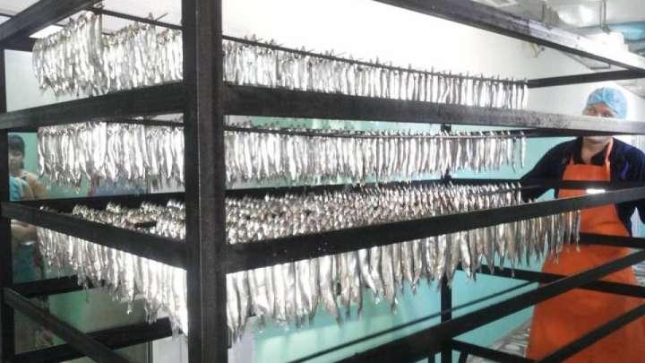 Шымкентте балық ыстау цехы ашылды