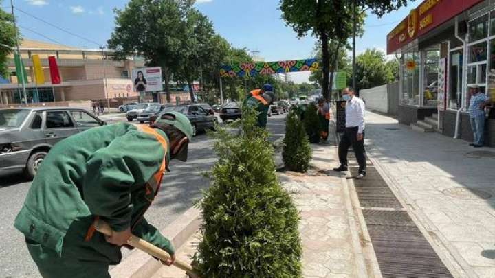 Шымкент шырайланып келеді