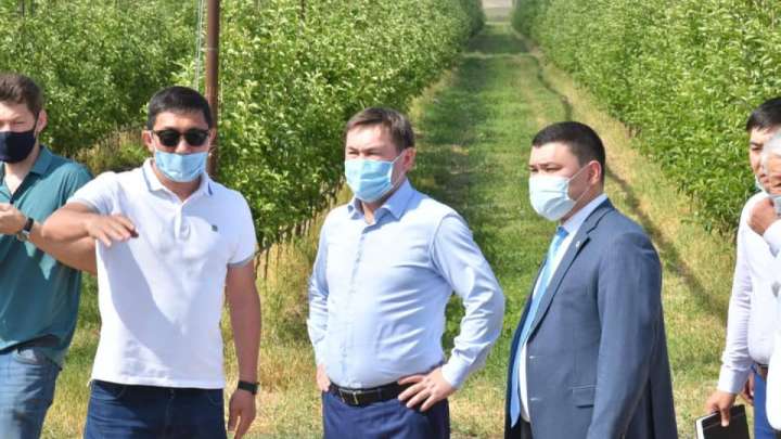 САДОВОДСТВО В АЛТЫНТОБЕ