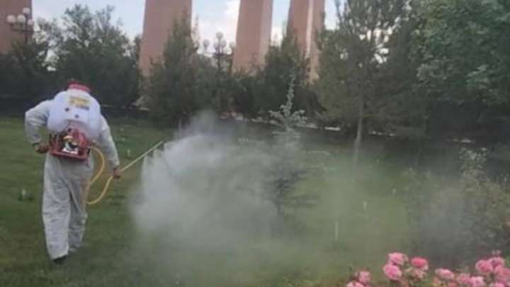 Шымкентте 4 миллион шаршы метр аумақ дезинсекциланды