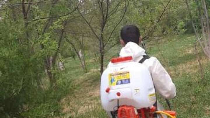  В Шымкенте будет обработано около 4 миллионов квадратных метров территории города