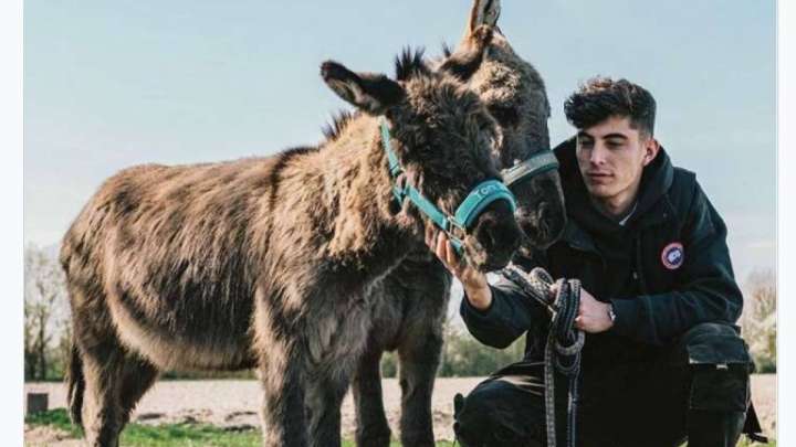 Есекті жақсы көретін футболшы