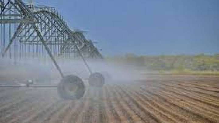 Павлодарлықтар пайдаланылмай жатқан жерлерді игеріп жатыр