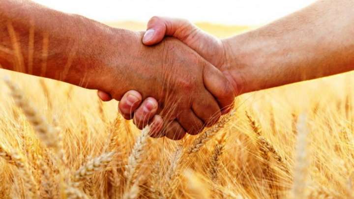 АӨК пен импорттық алмастыру бойынша 285 жоба іске асады