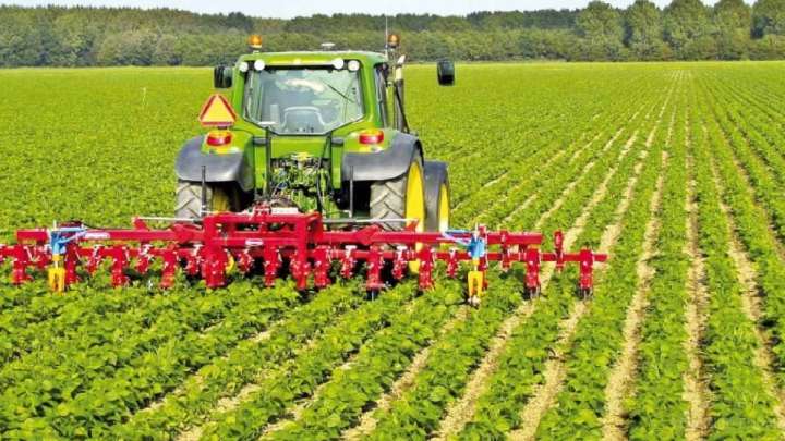 Мемлекет кепілдендіреді, фермерлер несие алады