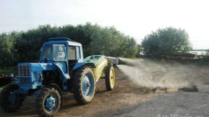 Егістікті сақтау: Шегірткемен күрес тоқтамайды