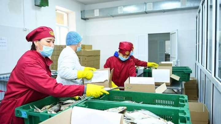 В Шымкенте функционирует 161 предприятие пищевой промышленности