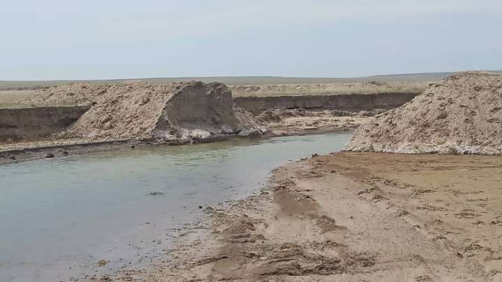 Бақанас, қайда барасың?..