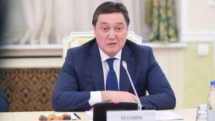 "Африка кедейлері" Мәмин үкіметіне не істеп қойды?