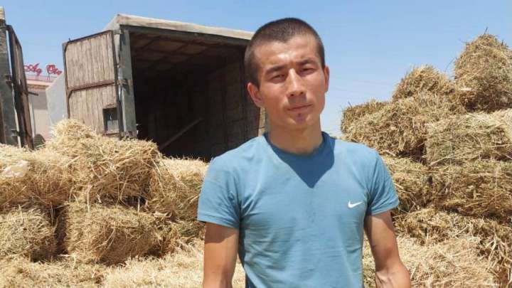 «Маңғыстауда мал қырылып жатқанда, Шымкентте пайда тауып жата алмадым»