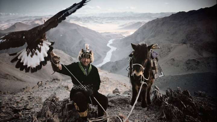 БАЙЫТ ҚАБАНҰЛЫ. ҚАМАУ                                                    