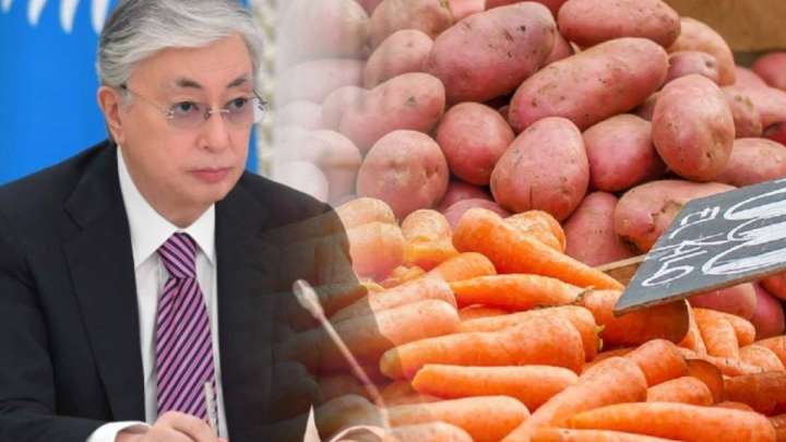 Тоқаев көкөністер неге қымбаттағанын айтты