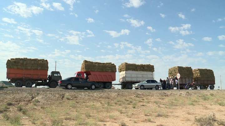 Арал ауданында төтенше жағдай жарияланды