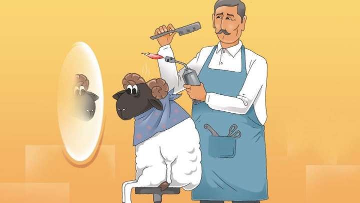 Құрбан айтқа дайындық