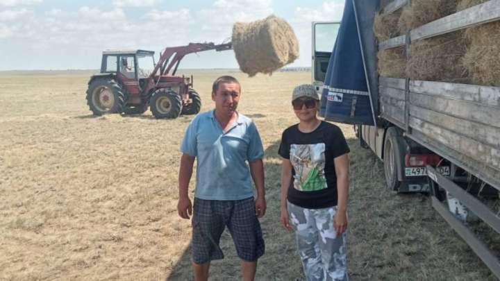 Төрт баланың анасы Балнұр Ермекбаева Маңғыстауға жем-шөп жіберуді ұйымдастырып жүр