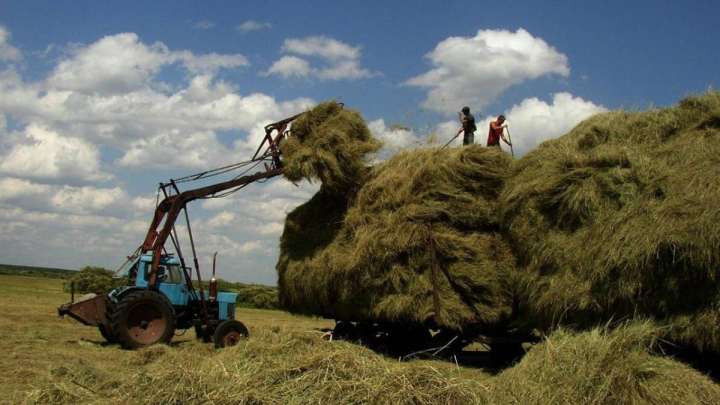 Үкімет шөп шабуға 43,6 мың тонна дизель отынын бөлмек