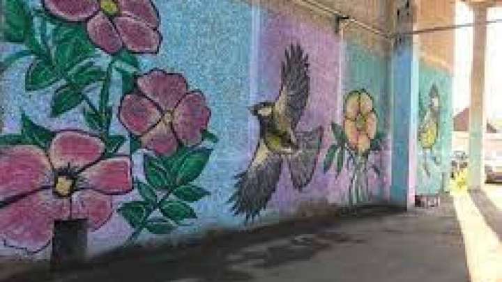 Граффити мен есірткі: Өнер мен қылмыс