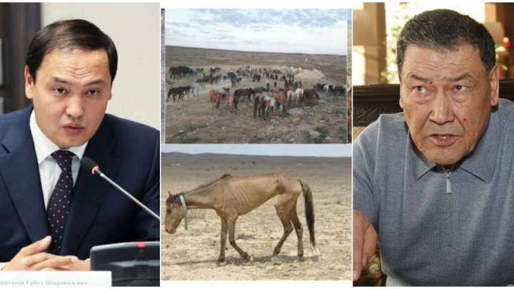 "Маңғыстауға беретін халықта ақша жоқ. Олигархтардан алсын"