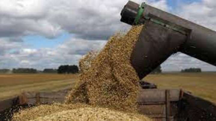 Биыл да астық экспорттаймыз